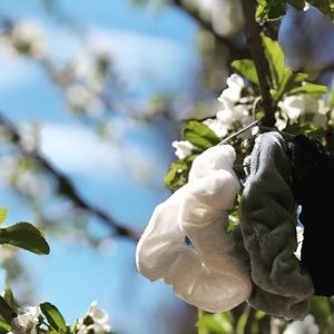 Neutral selection scrunches